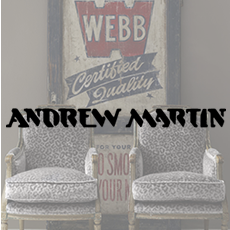 ANDREW MARTIN